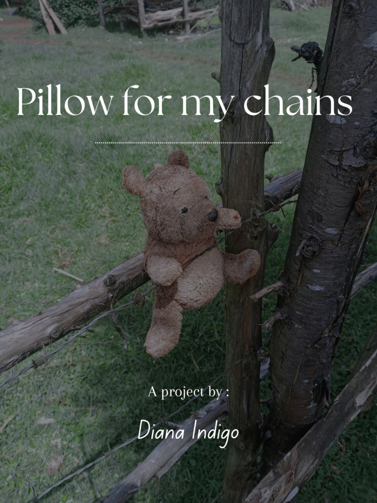 Pillow for my chains cover